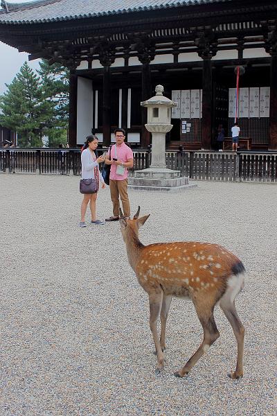 japan0331.JPG - Kōfuku-ji, a Buddhist temple