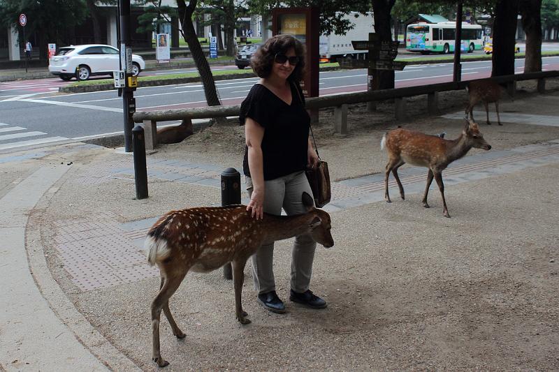 japan0336.JPG - Nara Park
