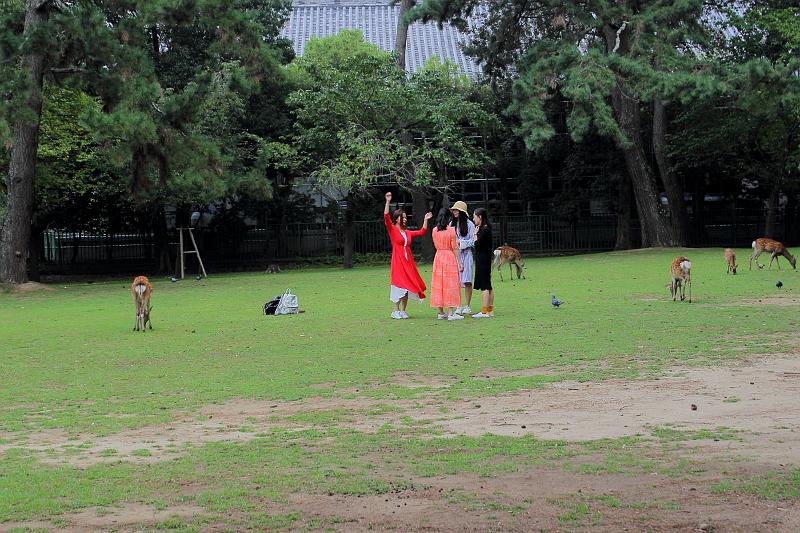 japan0337.JPG - Nara Park