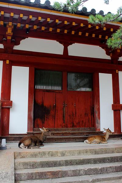 japan0360.JPG - Tōdai-ji