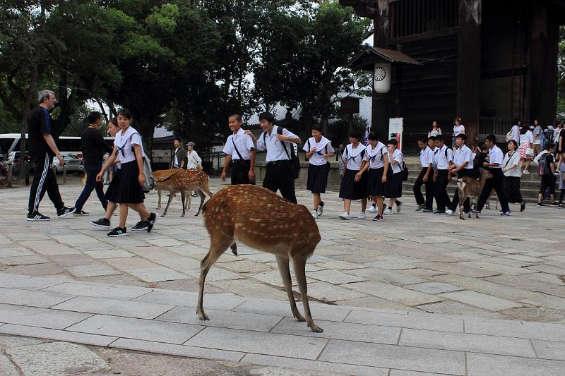 japan0365.JPG - Nandaimon gate in Todai-ji 