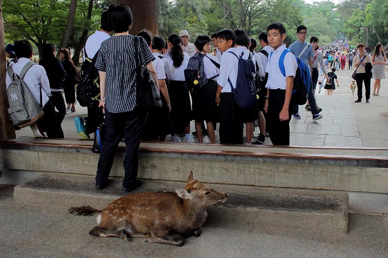 japan0366.JPG - Nandaimon gate in Todai-ji 