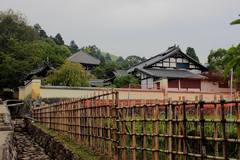 japan0369.JPG - On the way to Nigatsudo Hall