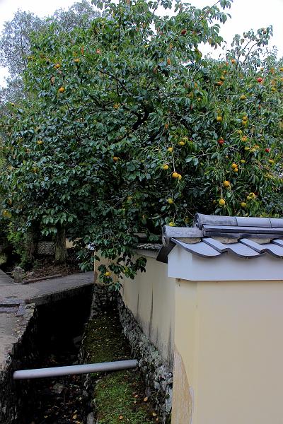 japan0370.JPG - On the way to Nigatsudo Hall