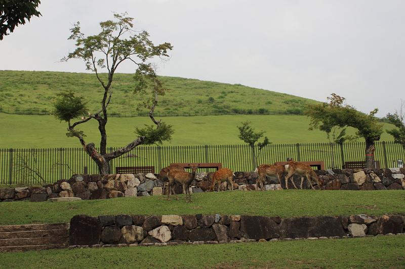 japan0378.JPG - Wakakusayama Hill