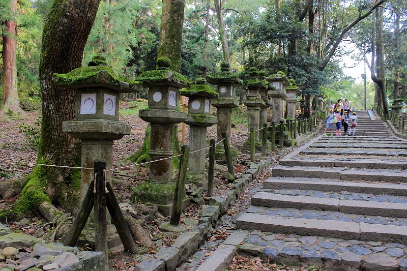 japan0382.JPG - On the way to Kasuga-taisha Grand Shrine, a Shinto shrine