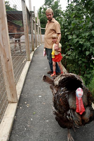 geor3652.JPG - Zoo in Saratoga Springs