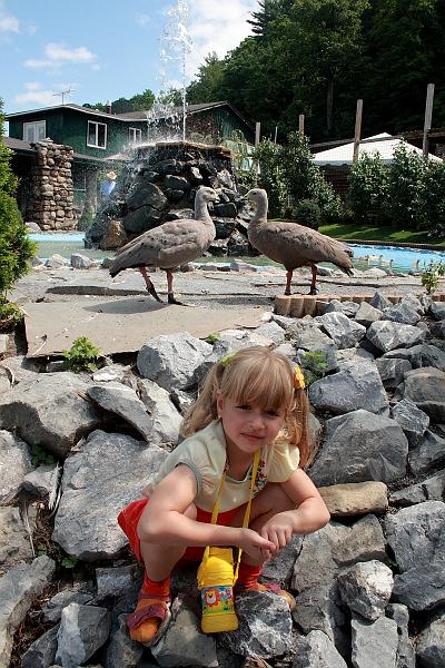 geor3653.JPG - Zoo in Saratoga Springs