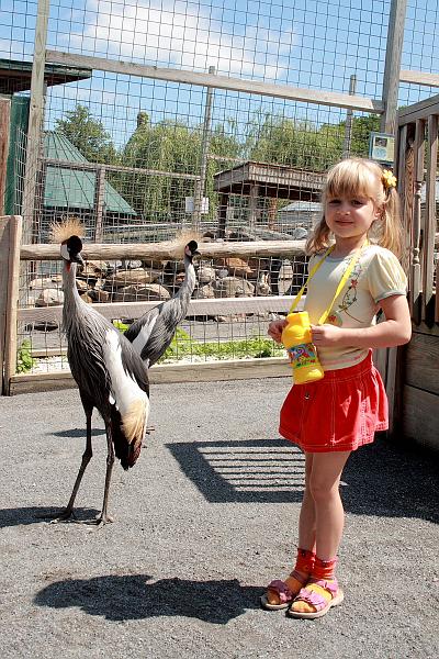 geor3655.JPG - Zoo in Saratoga Springs