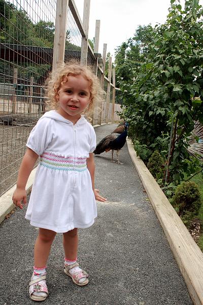 geor3658.JPG - Zoo in Saratoga Springs