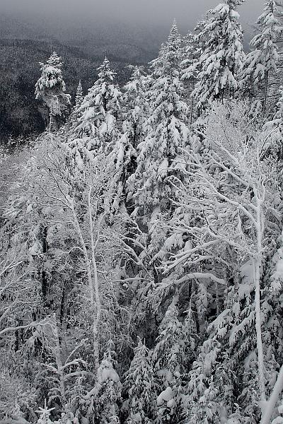 np2732.JPG - Whiteface Mountain