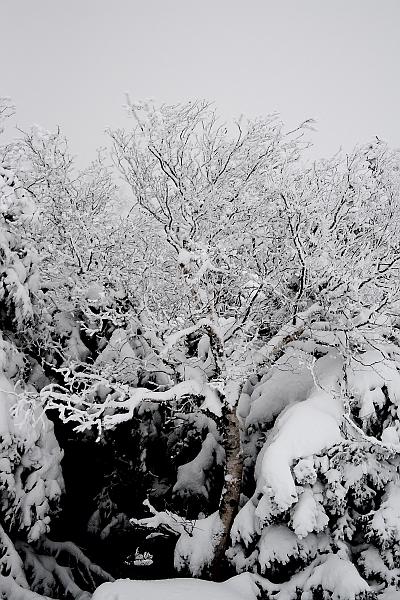 np2734.JPG - Whiteface Mountain