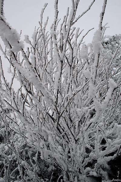 np2737.JPG - Whiteface Mountain