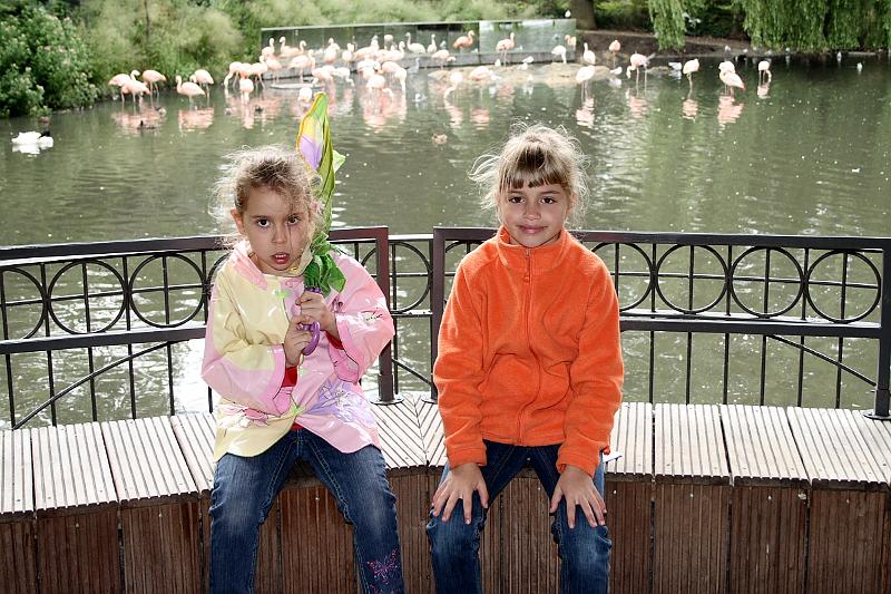 nederland7200.JPG - Amsterdam Zoo