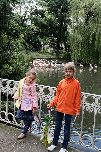 nederland7201.JPG - Amsterdam Zoo