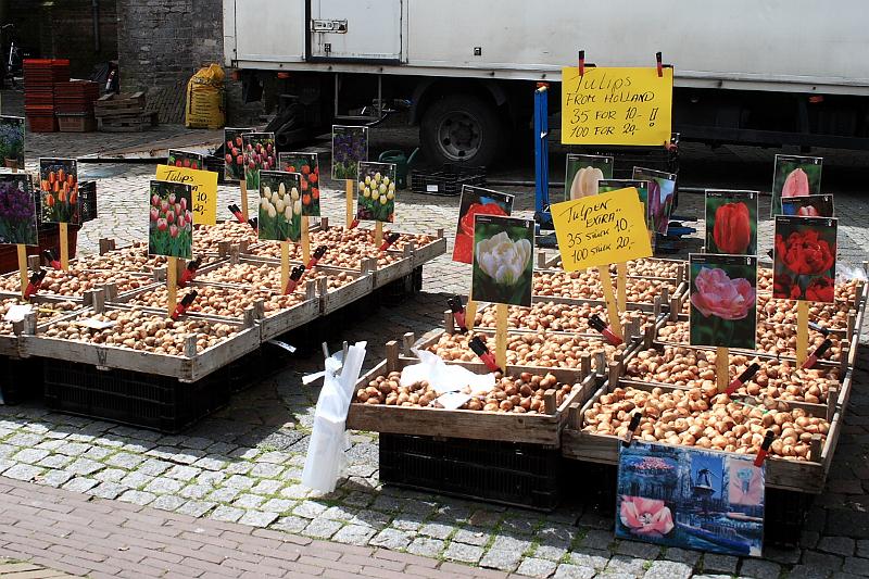 nederland7205.JPG - Amsterdam