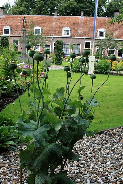 nederland7222.JPG - Town of Edam