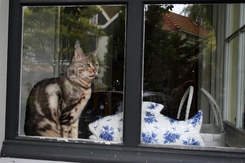 nederland7223.JPG - Town of Edam