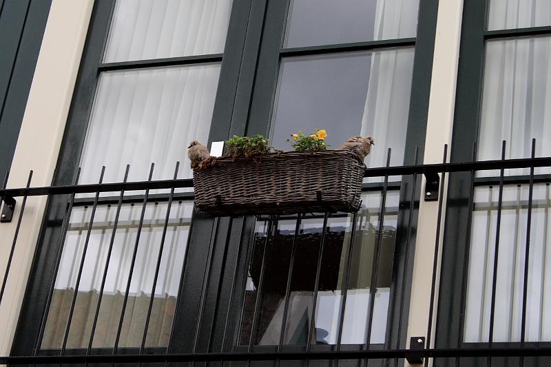 nederland7233.JPG - Town of Edam