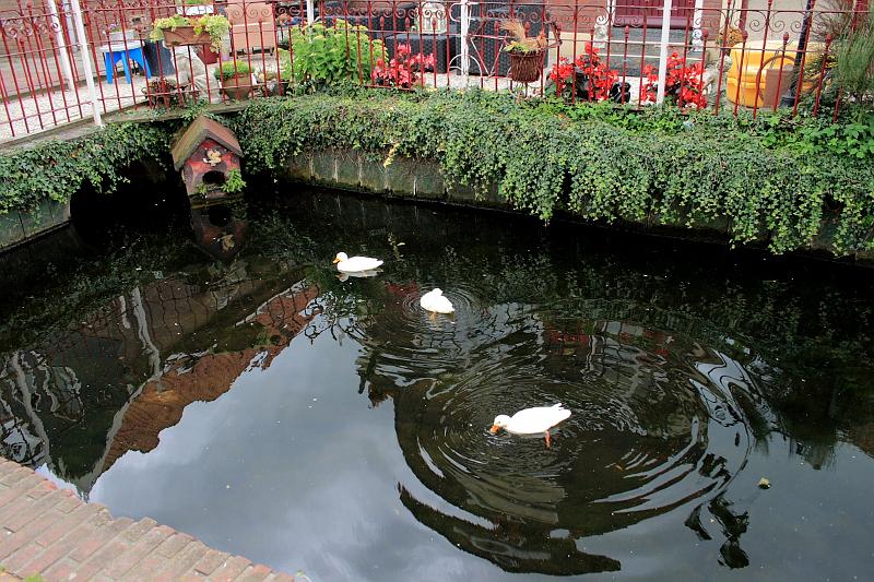 nederland7235.JPG - Town of Edam