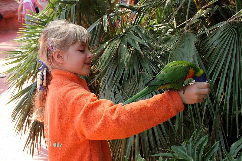 nederland7258.JPG - Avifauna Bird Park, Alphen aan den Rijn