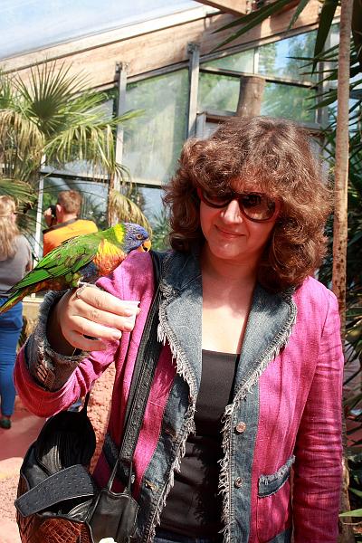 nederland7260.JPG - Avifauna Bird Park, Alphen aan den Rijn