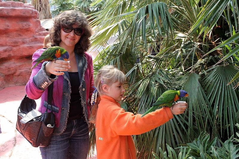nederland7261.JPG - Avifauna Bird Park, Alphen aan den Rijn