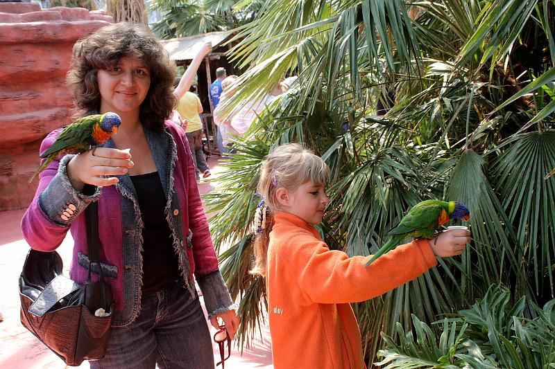nederland7262.JPG - Avifauna Bird Park, Alphen aan den Rijn