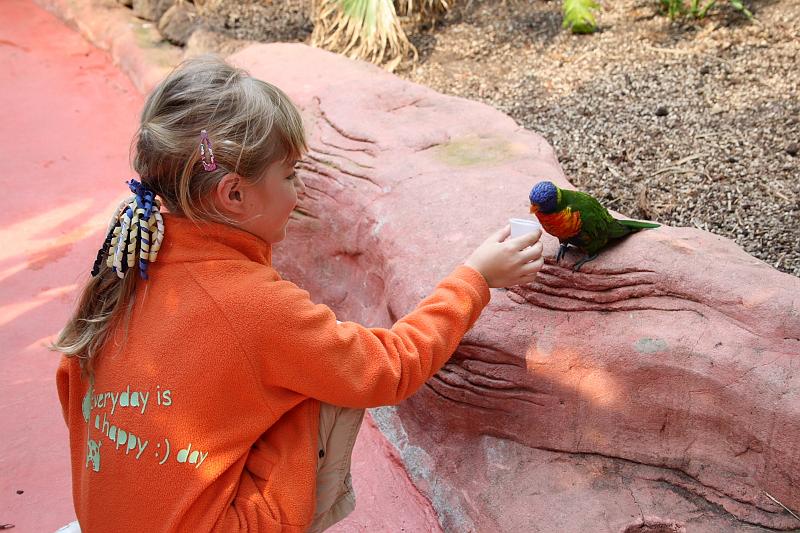 nederland7263.JPG - Avifauna Bird Park, Alphen aan den Rijn