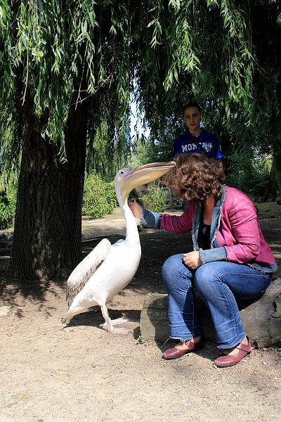 nederland7273.JPG - Avifauna Bird Park, Alphen aan den Rijn