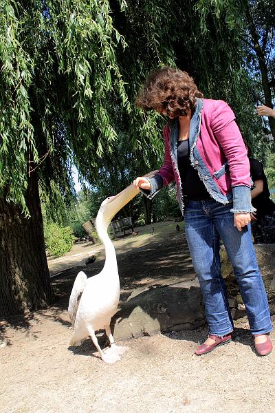 nederland7275.JPG - Avifauna Bird Park, Alphen aan den Rijn