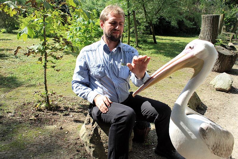 nederland7278.JPG - Avifauna Bird Park, Alphen aan den Rijn