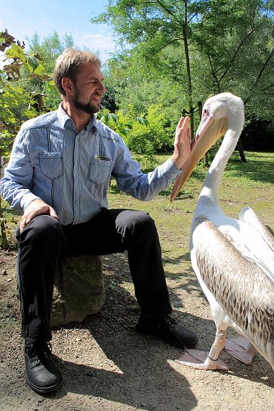 nederland7279.JPG - Avifauna Bird Park, Alphen aan den Rijn