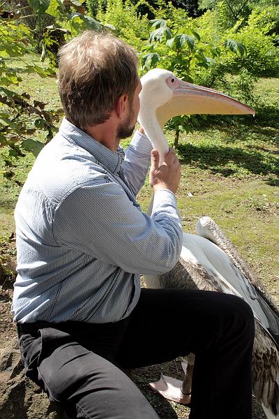 nederland7280.JPG - Avifauna Bird Park, Alphen aan den Rijn