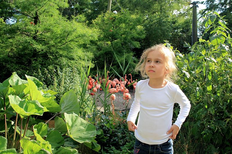 nederland7284.JPG - Avifauna Bird Park, Alphen aan den Rijn