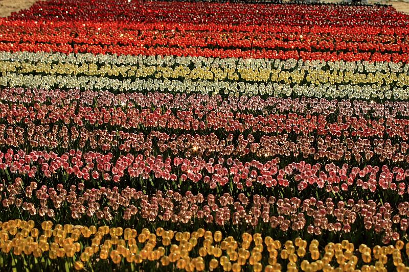 nederland7325.JPG - Madurodam