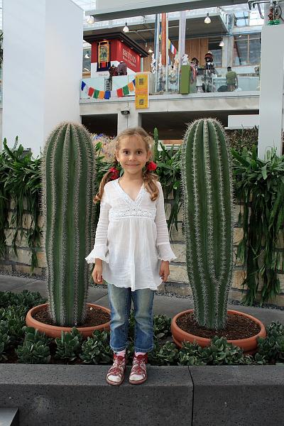 nederland7854.JPG - Floriade 2012