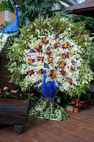 nederland7855.JPG - Floriade 2012