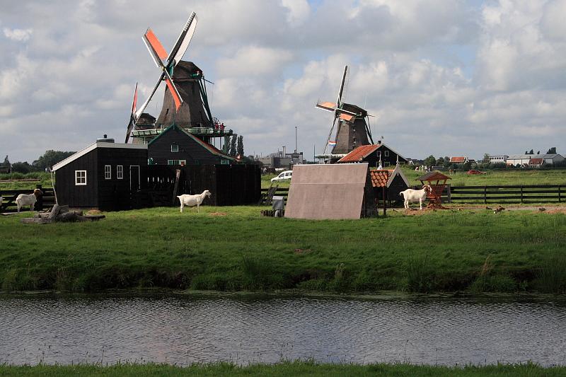 nederland7998.JPG - Windmills in Zaanse Schans