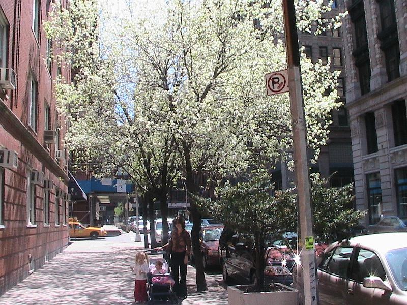 IMG_0957.jpg - Our Street