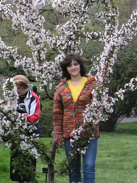 IMG_1008.jpg - Brooklyn Botanical Garden - Cherry Blossom