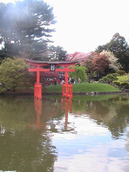 IMG_1077.jpg - Brooklyn Botanical Garden - Cherry Blossom