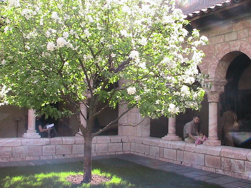 IMG_1092.jpg - The Cloisters