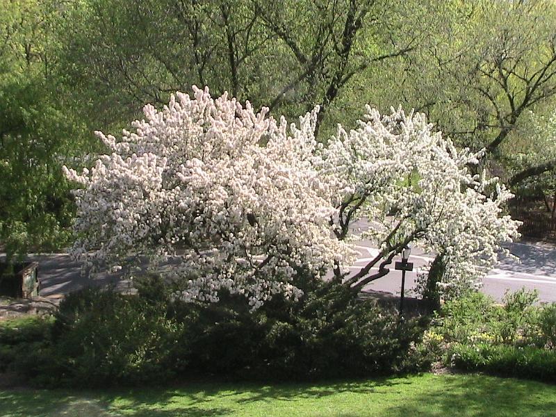 IMG_1123.jpg - The Cloisters