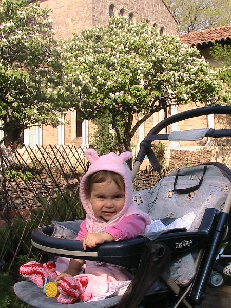 IMG_1135.jpg - The Cloisters