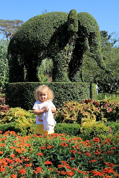 newport2578.JPG - Green Animals