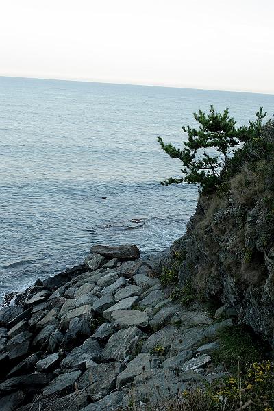 newport2622.JPG - Cliff Walk