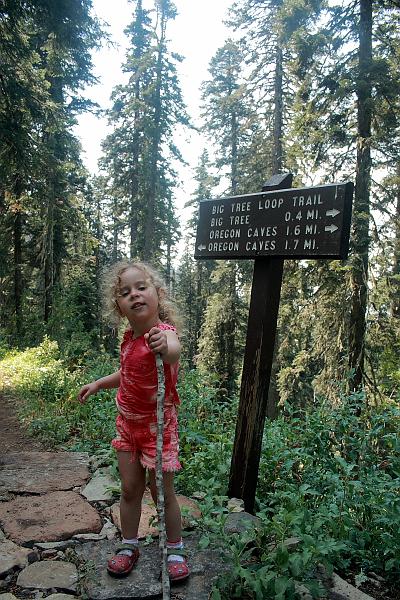 cal3878.JPG - Oregon Caves National Monument