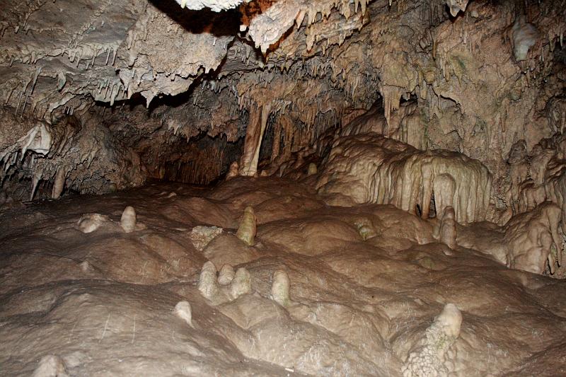 cal3885.JPG - Oregon Caves National Monument