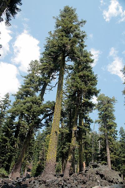 oreg3904.JPG - Wizard Island on the Crater Lake